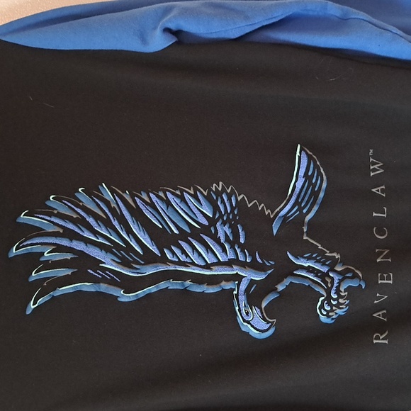 Ravenclaw Harry Potter Textured Hoodie Small Snap Up - Picture 4 of 6